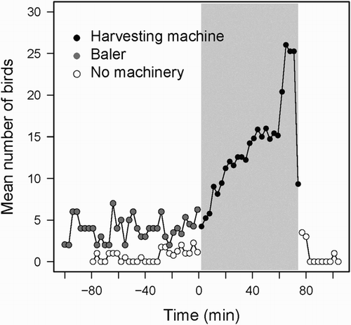 Figure 3. Arrival pattern of foraging Lesser Kestrels to a patch before, during and after harvesting. Time zero represents the start of harvesting and the grey rectangle defines the harvesting period. Dots show the number of foraging Lesser Kestrels counted every 3 minutes in patches half harvested and include three situations: with no working machinery (white dots), with a machine bailing cereal straw in the area harvested the previous day (grey dots) and with a harvesting machine (black dots).