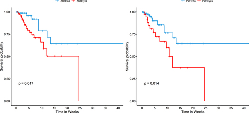 Figure 4 Kaplan–Meier survival curves estimate the mortality among patients with XDR or PDR.