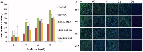 Figure 2. (A) Fluorescence intensity of different Cou6-loaded formulation in MDA-MB-231 cells. (B) Cellular uptake of Cou-6 formulations at different time intervals. a: Cou-6-NLC-RGE, b: Cou-6-NLC-cRGD, c: Cou-6-NLC-RGE/cRGD, d: Cou-6-NLC and e: Cou-6-Sol.
