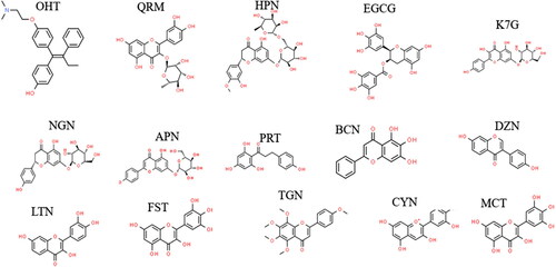 Figure 4. 2 D structures of the flavonoids.