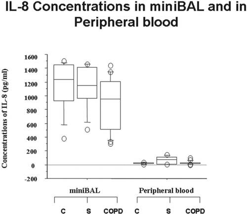 Figure 2.  Absence of differences in the concentrations of IL-8 in mini-BAL and in the peripheral blood of S and of COPD. Mini-BAL supernatants and paired blood samples were recovered from C (n = 10), from S (n = 8) and from COPD (n = 18) patients. IL-8 concentrations were measured by ELISA as described in “materials and methods” and are expressed as pg/ml. Data are expressed as median (25-75 percentiles).
