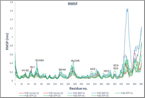 Figure 7. RMSF of protein backbone atoms and averaged per residue from 20–100 ns WT-FtsZ mono-empty (red); WT-FtsZ mono-GDP (blue) WT-FtsZ mono-GTP (green).