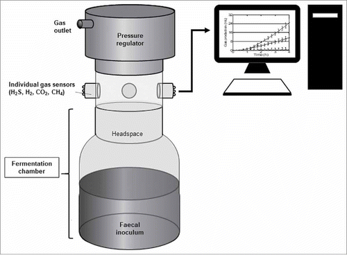 Figure 1. Setup of a in vitro gas-profiling module.