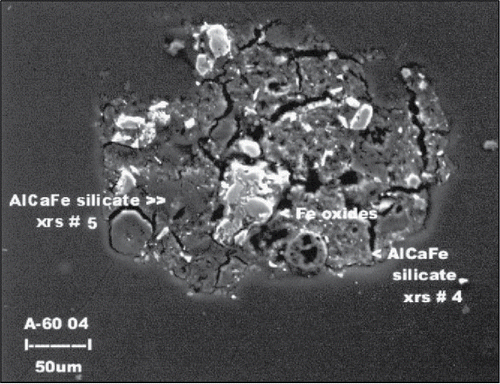 Figure 3. Arsenic-concentrated nuggets of iron hydroxide in volcanic soils typical of Study Site A (Cutler Citation2011).