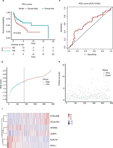 Figure 3 The risk score performance in the training data sets.Notes: (A-F) The survival plot and the 5-year survival ROC curve of OS, DSS, and PFS. (G–I) The relationship between risk score, survival information, and z-score transformed expression values are shown (top-down, FOXL2NB, PCOLCE2, SPINK6, ULBP2, KCNJ18, and RFPL1).Abbreviations: AUC, area under the curve; DSS, disease-specific survival; OS, overall survival; PFS, progression-free survival; ROC, receiving operating characteristic.