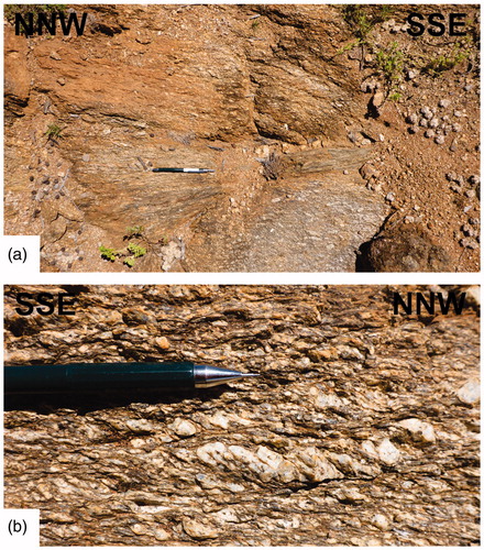 Figure 11. (a) Photo of a high strain zone in the Granite Springs Granite outcrop; and (b) feldspar phenocrysts showing sinistral shearing. See Figure 8 for location.