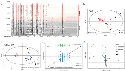 Figure 2. Data modeling and selection of differentially expressed metabolites in healthy and gout-afflicted goslings. (a) Ion base peak intensity chromatogram of serum samples from gout-afflicted goslings. (b) PCA (principal component analysis) of the normalized peak areas of individual metabolites. (c) OPLS-DA differentiation of the control and gout groups. (d) Validation of OPLS-DA results based on 200 permutation tests. OPLS-DA: orthogonal projections to latent structures-discriminate analysis. PCA and OPLS-DA analysis were measured with SIMCA14.1 software (V14.1, Sartorius Stedim Data Analytics AB, Umea, Sweden). (e) Volcano plot of the differences in metabolite abundance between healthy and gout-afflicted goslings. N = 15. Gout-afflicted vs. Control.