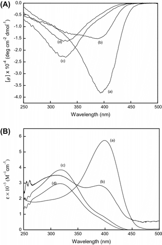 Figure 4 (A) CD and (B) UV–vis spectra of poly(LA88-co-PL12) measure in (a) CHCl3, (b) THF, (c) CHCl3/MeOH = 1/1, and (d) CHCl3/MeOH = 1/2 at room temperature, c = 3 × 10−4 mol/L.
