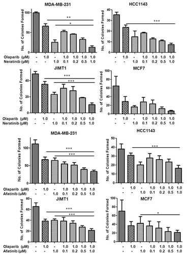 Figure 3. Barcharts illustrating the effect of olaparib (constant 1 µM) alone or in combination with the pan-HER inhibitors neratinib (upper four plots) and afatinib (lower four plots) at varying concentrations on clonogenic survival of MDA-MB-231, HCC1143, JIMT1 and MCF7 breast cancer cells. *p < 0.05, **p < 0.01 and ***p < 0.005; Student’s paired t-test.