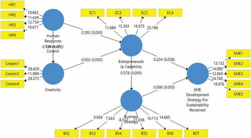 Figure 2. SEM-PLS full model.