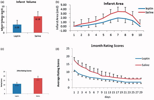Figure 3. Infarct volume measurement. (a) The infarct volume, p < 0.05 compared with PBS group. (b) The infarct volume of each layer, p < 0.05 compared with PBS group. (c) 24 h Rating scores. p < 0.05 compared with PBS group. (d) 1-month Rating scores. p < 0.05 compared with PBS group.