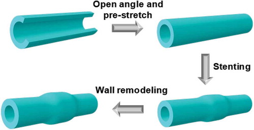 Figure 1. Schematics of the simulation process.