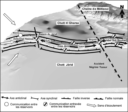 Fig. 16 Géométrie et communications entre compartiments dans l'aquifère du Continental Intercalaire du Jérid.
