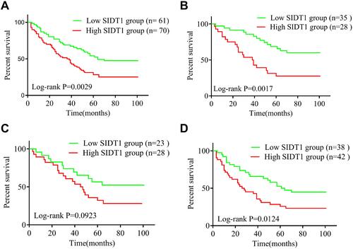 Figure 3 Survival curves for Kaplan-Meier survival analysis of overall survival by SIDT1 expression. High expression of SIDT1 is associated with poorer prognosis in NSCLC patients (A) especially in stage I patients, (B) LUAD, (C) and LUSC, (D).