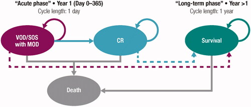 Figure 1. Model diagram. Abbreviations. VOD/SOS, veno-occlusive disease/sinusoidal obstruction syndrome; MOD, multiorgan dysfunction; CR, complete response.