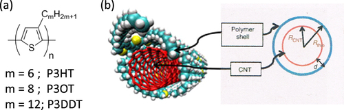 Figure 11. (a) Chemical structure of poly(3-alkylthiophenes). (b) Schematics of a cross-sectional geometrical view of the polymer–SWCNT supramolecular structure. Reprinted by permission from Macmillan Publishers Ltd: H W Lee et al 2011 Nat. Commun. 2 541, copyright 2011.