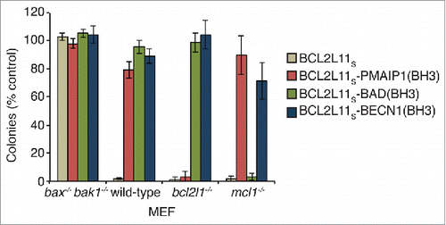 Figure 5. Cell-killing activity of the BECN1(BH3) domain. Colony formation assay showing mouse embryonic fibroblast (MEF) cell-killing activity of BCL2L11S chimeras with different BCL2 prosurvival protein specificities. BCL2L11S-BECN1(BH3) did not have any significant effect on any cell line tested.