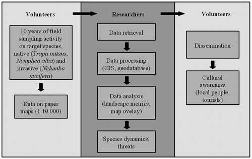 Fig. 2. Workflow of the present study. Activities carried out by volunteers (pale grey) and by university researchers (dark grey) are shown.