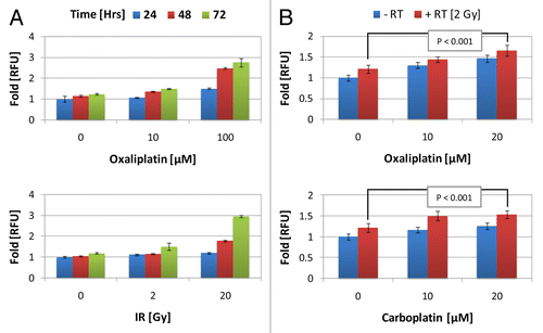 Figure 7. HMGB1 release from platinum and ionizing radiation treated TSA cells. (A and B) Red-fluorescence protein (RFP) tagged high mobility group box 1 (HMGB1) expressing TSA cells were used to analyze the combined effect of platinum and ionizing radiation (IR) on the release of HMGB1 from TSA mammary carcinoma cells. (A) HMGB1-RFP stably transfected TSA cells were exposed to oxaliplatin (0–100 μM) or IR (0–20 Gray) delivered at time 0 h. Released HMGB1-RFP was detected in the conditioned medium 24–72 h (as indicated) after treatment via fluorimetry and reported as a fold change in relative fluorescent units (RFUs) in comparison to untreated cells (24 h). (B) HMGB1-RFP was detected in the conditioned medium of transfected cells exposed for 72 h with increasing doses of platinum (0–20 μM) ± radiation therapy (RT) at a dosage of 2 Gray (Gy) delivered at time 0 h. The RFU is plotted relative to untreated control cells, normalized to 1. Shown are the mean (n = 6/group) ± SD. Statistical analyses were performed by paired Student’s t test: P values < 0.05 were considered statistically significant.