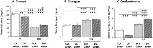 Figure 6 Effects of VMN Dbi Gene Silencing on Plasma Glucose and CounterRegulatory Hormone Profiles in Eu- or Hypoglycemic Male Rats. Plasma samples were obtained from groups of Dbi or SCR siRNA-pretreated male rats one hour after sc injection of V or INS, and analyzed for glucose (Figure 6A), glucagon (Figure 6B), or corticosterone (Figure 6C) concentrations. In each panel, individual treatment group data depict mean concentrations ± S.E.M. for n = 4 samples. Data were analyzed by two-way ANOVA and Student–Newman–Keuls post-hoc test, using GraphPad Prism, Vol. 8 software. Results of statistical analyses are as follows: glucose: F(3,12): 170.27, p < 0.001; Knockdown main effect: F(1,8): 1.18, p = 0.299; INS main effect: F(1,12): 485.76, p < 0.001; Knockdown/INS interaction: F(1,12): 23.87, p < 0.001; glucagon: F(3,12): 34.66, p < 0.001; Knockdown main effect: F(1,8): 0.51, p = 0.489; INS main effect: F(1,12): 102.85, p < 0.001; Knockdown/INS interaction: F(1,12): 0.61, p = 0.450; corticosterone: F(3,12): 147.23, p < 0.001; Knockdown main effect: F(1,12): 0.19, p = 0.671; INS main effect: F(1,12): 359.18, p < 0.001; Knockdown/INS interaction: F(1,12): 82.33, p < 0.001. *p < 0.05, **p < 0.01, and ***p < 0.001.