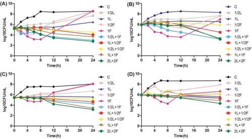 Figure 1 Time-kill study performed on (A) vancomycin-susceptible Enterococcus faecalis (ATCC 29212), (B) vancomycin-susceptible Enterococcus faecium (No.1), (C) vancomycin-resistant Enterococcus faecium (No.2), (D) vancomycin-resistant Enterococcus faecium (No.4) using linezolid and fosfomycin alone or in combination.Abbreviations: CFU, colony-forming units; L, linezolid; F, fosfomycin; C, control group; 1/2, 1/2×MIC, and so forth.