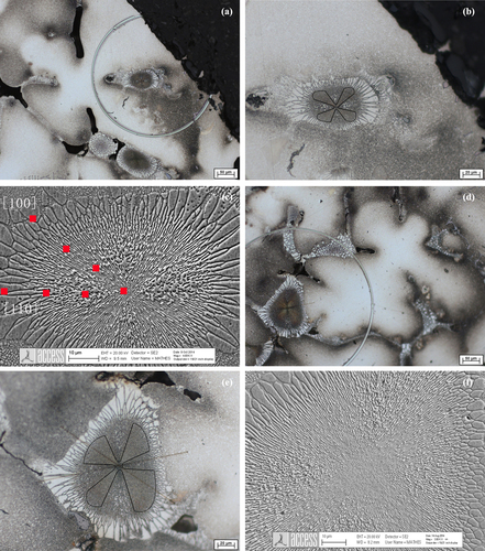 Figure 1. (a) and (d) The morphologies of cruciform dendrites and (γ + γ′) eutectic island; (b) and (e) magnified photos of the eutectic island; (c) and (f) SEM micrographs of the eutectic island and the measuring paths of the EDX scans along [100] and [110] directions.