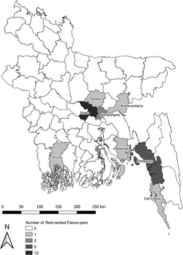 Figure 1. District-level map of Bangladesh showing the number of surveyed Red-necked Falcon Falco chicquera pairs, throughout the year between 2002 and 2019.