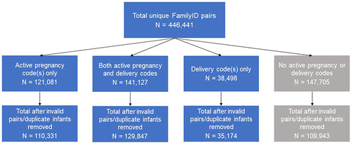 Figure 2 Assessment of pregnancy and delivery coding among mother–infant linkages in the JMDC claims database between January 2005 and March 2022 (Linkage Method B).