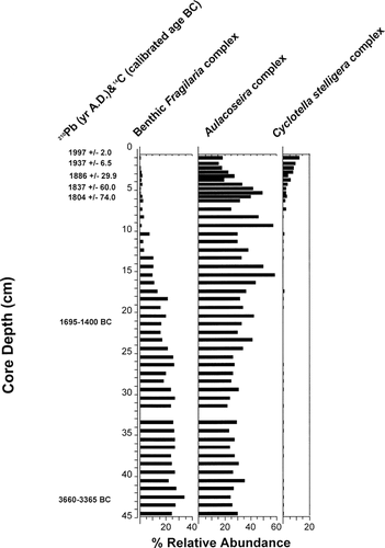 FIGURE 7. Simplified diatom stratigraphy of the three most common and abundant diatom groups from Slipper Lake showing the increase in the relative abundance of the Cyclotella stelligera complex in the recent sediments (modified from CitationRühland, 2001). The radiocarbon dates were calibrated to calendar years using the standard data set INTCAL98 (CitationStuiver et al. 1998). The 2σ range (95% confidence interval) for each age is reported.