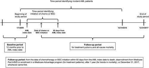Figure 1. Study design schema. AML: acute myeloid leukemia; BSC: best supportive care.