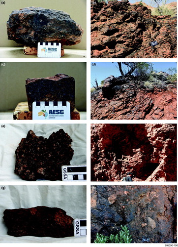 Figure 5. Images of the Radium Ridge Breccia geochronological samples and their outcrop location: (a) R2381596 sample Mt Ward; (b) R2381596 Mt Ward outcrop; (c) R2381600 sample Turquoise Prospect; (d) R2381600 Turquoise Prospect outcrop; (e) R2413916 sample East Painter Prospect; (f) R2413916 East Painter Prospect outcrop; (g) R2413917 sample Smiler Prospect; (h) R2413917 Smiler Prospect outcrop.