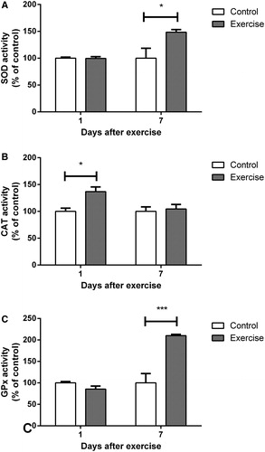 Figure 3. Effect of exercise on (A) superoxide dismutase, (B) catalase, and (C) glutathione peroxidase activity in hippocampi of rats, evaluated 1 and 7 days after the end of a 4-week swimming protocol. Results are expressed as mean + SEM for n = 4–9. *P < 0.05; ***P < 0.001 versus corresponding control (Student's t-test). CAT, catalase; GPx, glutathione peroxidase; SOD, superoxide dismutase.