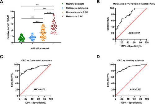 Figure 2 The expression level and diagnostic value of serum NEAT1 in the validation cohort. (A) Serum NEAT1 was significantly higher in CRC, especially in metastatic CRC. (B–D) The diagnostic values of serum NEAT1 for differentiating metastatic CRC with non-metastatic CRC as well as identifying CRC from colorectal adenoma or healthy controls. ***P<0.001.