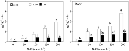 Figure 6. Na+/K+ ratio in the shoots and roots of Kentucky bluegrass (KBG; Poa pratensis L.) and Tall fescue (TF; Festuca arundinacea Schreb.) at different sodium chloride (NaCl) concentrations. Bars indicate standard error (n = 3). Different lower case letters indicate significant differences between means at P = 0.05 according to Duncan's multiple range tests. Na+, sodium cations; K+, potassium cations.