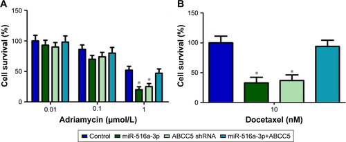 Figure S3 Restoration of miR-516a-3p promotes PC-3 cells’ sensitivity to adriamycin and docetaxel via the suppression of ABCC5. (A) miR-516a-3p overexpression can significantly enhance the chemosensitivity of PC-3 cells to adriamycin (1 µmol/L), compared with the control groups. Forced overexpression of ABCC5 reversed the promotion of the chemosensitivity of PC-3 cells to adriamycin induced by miR-516a-3p. (B) miR-516a-3p overexpression can significantly enhance the chemosensitivity of PC-3 cells to docetaxel (10 nM), compared with the control groups. Forced overexpression of ABCC5 reversed the promotion of the chemosensitivity of PC-3 cells to docetaxel induced by miR-516a-3p. All data are shown as mean±SD. *P<0.05.
