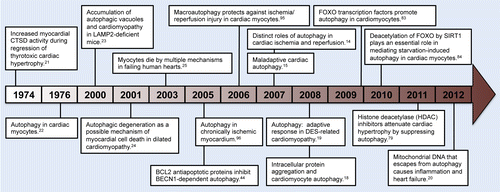Figure 2. Timeline depicting principal findings in cardiac autophagy.