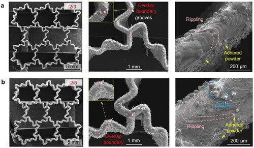 Figure 5. Morphologies of LPBF-processed double-asymmetric honeycombs with the gradation parameter α of (a) 2/3 and (b) 2/5.
