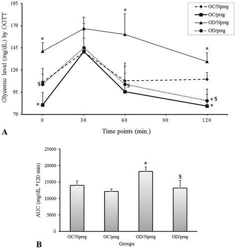 Figure 1. Oral glucose tolerance test (A) and area under the curve (B) of female rat pups born to control (OC) or diabetic mothers (OD) at 120 days of life (Npreg) or at day 17 of pregnancy (preg). Values were expressed as mean ± standard deviation (SD). n = 6 rats/group. *p < 0.05—compared with the group OC/Npreg; #p < 0.05—compared with the group OC/preg; and $p < 0.05—compared with the group OD/Npreg (OGTT: two-way ANOVA and repeated measure and AUC: two-way ANOVA followed by the Tukey’s multiple comparison test).