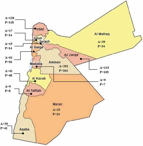 Figure 7. An example of the actual (A) and the predicted (P) numbers of COVID-19 cases for the 12 governorates ‎in ‎Jordan on May 24th of 2021‎.
