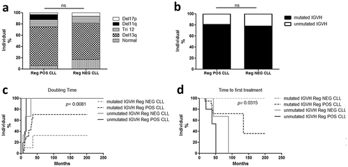 Figure 5. Patients with regulatory B cell activity present a more aggressive form of CLL. Comparisons of chromosomal abnormalities (a) and IGVH mutational status (b) between Reg POS CLL and Reg NEG CLL patients. (c-d) Kaplan-Meier graphs for the comparisons between Reg POS CLL and Reg NEG CLL patients according to their IGVH mutational status. (c) Comparisons of the doubling time of lymphocytosis. (d) Comparisons of the time to first treatment. ns, not significant.