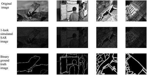 Figure 14. Sample images from the BSDS500-speckled dataset.