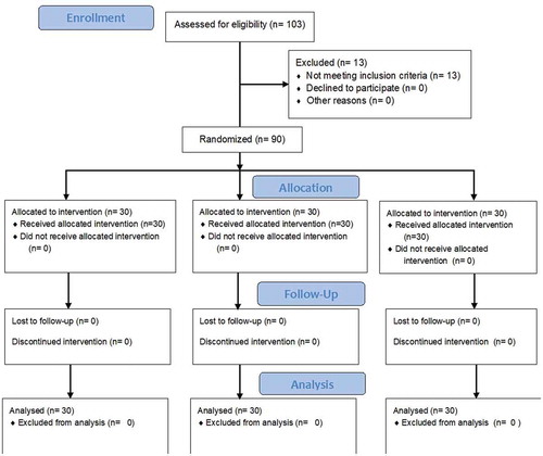 Figure 1. CONSORT flow chart