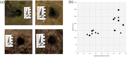 FIG. 19 Charge-holes chiselled into sarsen boulders in Hursley Bottom, West Woods: (a) smaller (top) and larger (bottom) sub-circular and sub-triangular charge-holes; (b) distribution of charge-hole dimensions and sectional forms (photographs © author).