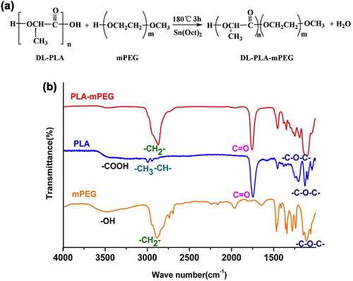 Figure 2. Synthesis and characterizations of PLA-PEG (a) Chemical reaction equation to synthesize PLA-PEG: the –COOH in DL-PLA reacted with –OH in mPEG, dehydrating into PLA-PEG. (b) FTIR spectra of mPEG, PLA and PLA-PEG. 0.25 mg of the dry sample was mixed with IR-grade KBr (0.1 g) and pressed (10 ton) into tablet form. The spectrum of the tablet was then recorded by an FTIR spectrometer.