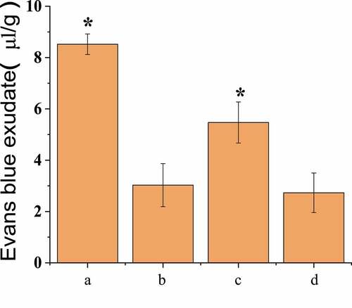 Figure 5. BBB permeability test results