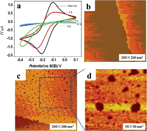 Figure 3. (a) CV of thiol modified Au electrode with different soaking time; (b) STM image of Au(111) electrode before modification; (c) STM image of Au(111) electrode after dithiol modification with soaking time of 12 h; (d) The details of modified electrodes in Figure 3c).