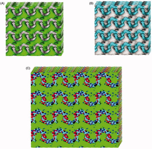 Figure 4. DPD simulation characteristics of ROLGs. Fragment B (A) and water (B) iso-density surfaces of ROLGs. ‘Dot-and-line’ model (Fragment A, Fragment B, resveratrol, ethanol, and water particles are depicted in red, green, black, blue, and light blue, respectively) (C).