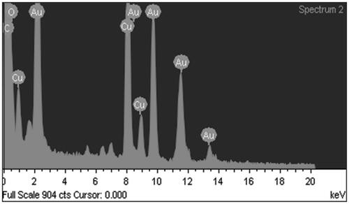 Figure 4. AGAunp EDAX spectrum.