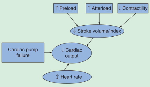 Figure 2. Hemodynamics of heart failure. This figure illustrates cardiac hemodynamic changes in symptomatic heart failure which are decreased cardiac output, decreased stroke volume, increased or decreased heart rate, increased preload, increased afterload as well as decreased myocardial contractility.