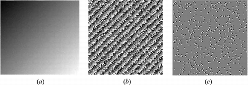 Figure 1 Simulated phase data contains noise with standard deviation 0.15 cycle: (a) the original phase data, (b) the wrapped data, and (c) the distribution map of SPs.